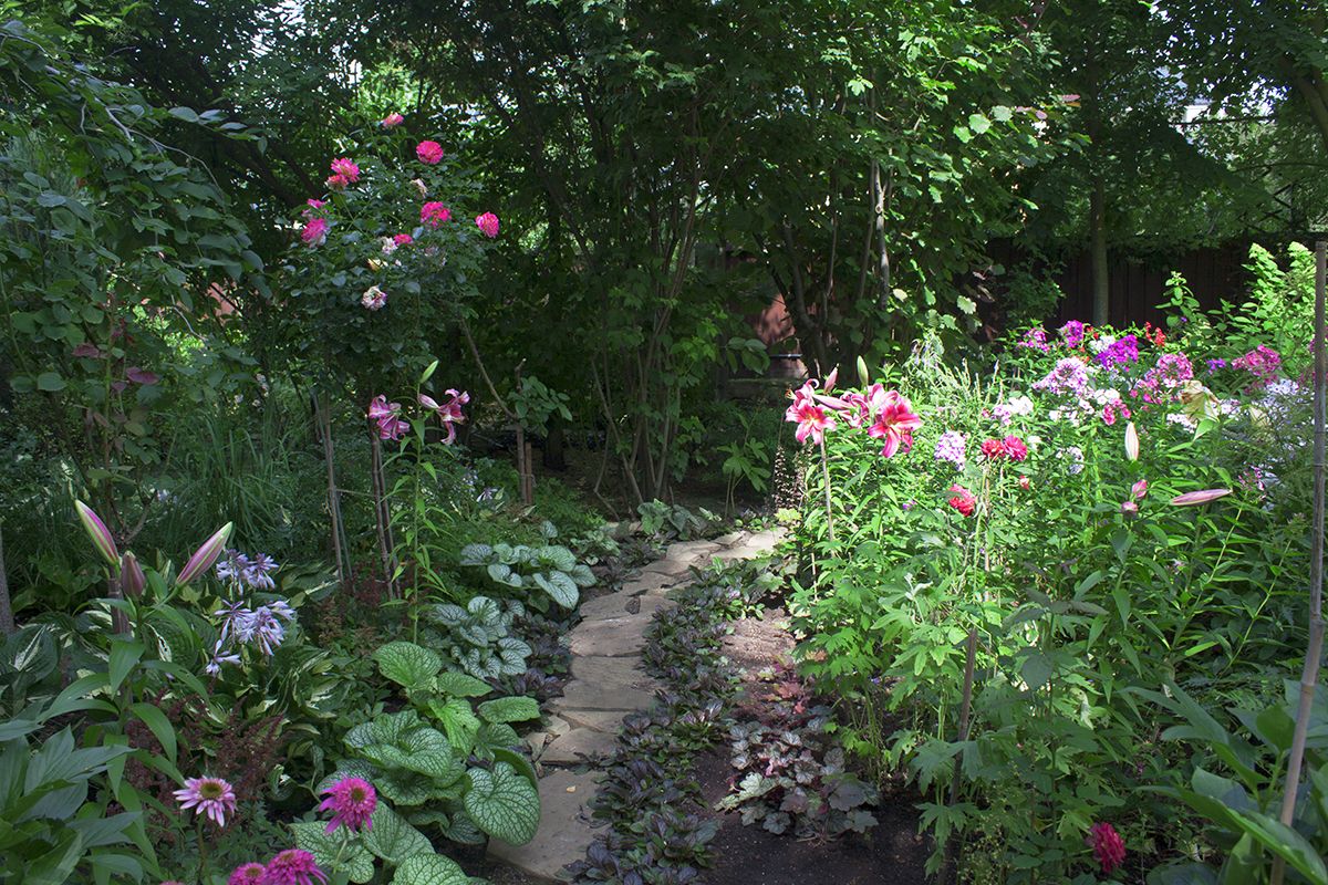 Проект Горки 2