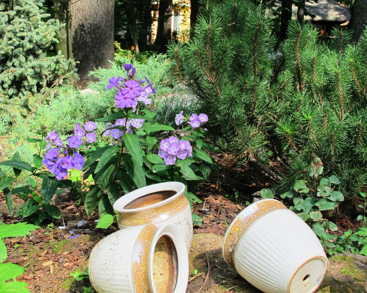 Проект Переделкино